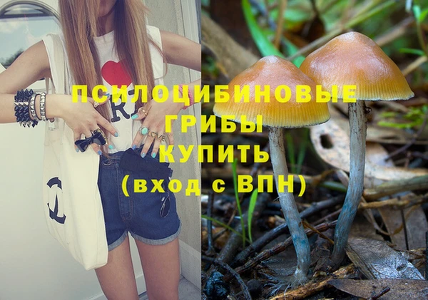 Альфа ПВП Богданович
